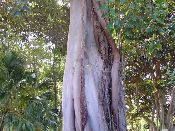DSC01967