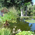 DSC01974