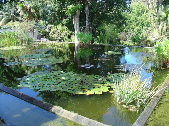 DSC01975
