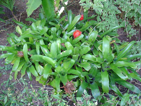 DSC01979