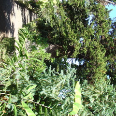 DSC01980