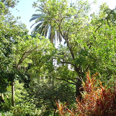 DSC01984