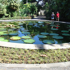 DSC01985