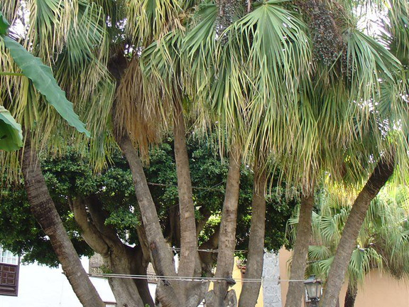 DSC02109