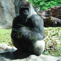 DSC02046