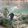 DSC02049