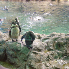 DSC02049