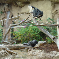 DSC02050