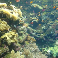 DSC02055
