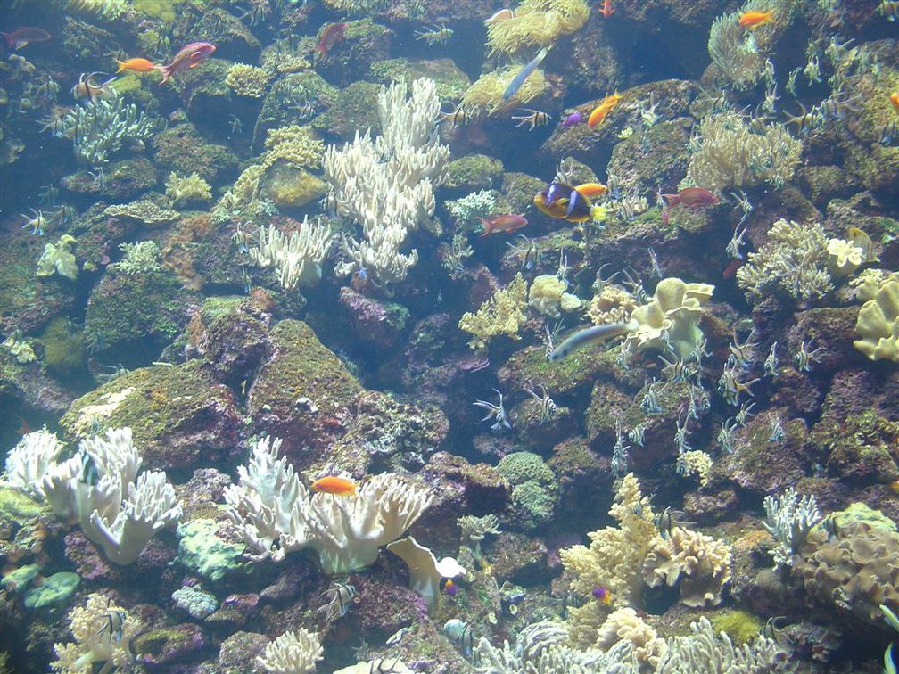 DSC02057