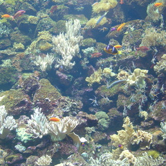 DSC02057
