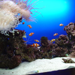 DSC02058