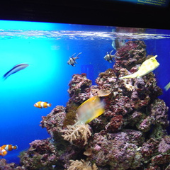 DSC02060