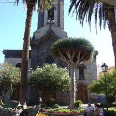DSC02015