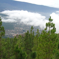 DSC02159