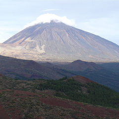 DSC02164