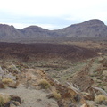 DSC02169