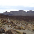 DSC02170