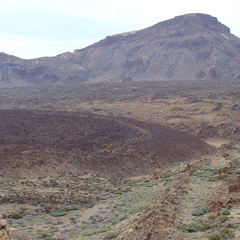 DSC02171