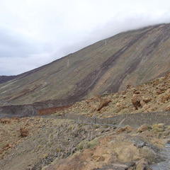 DSC02174