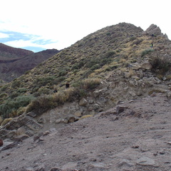 DSC02183