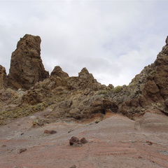 DSC02195