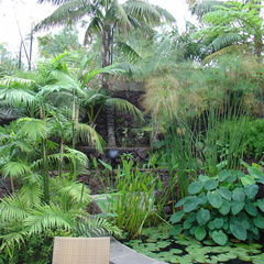 DSC02229