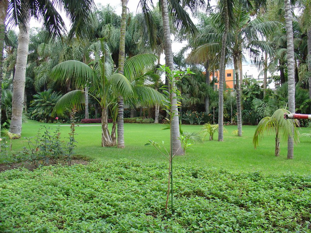 DSC02236