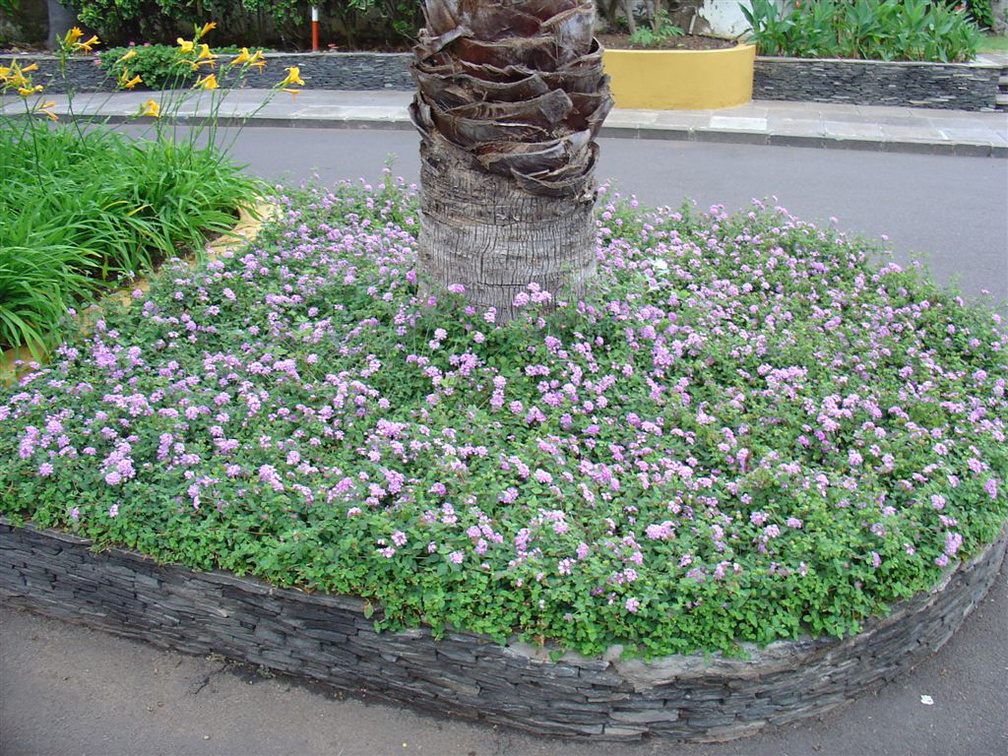 DSC02250