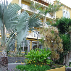 DSC02251