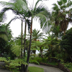 DSC02259