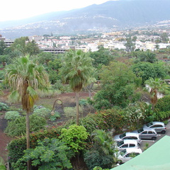 DSC02265