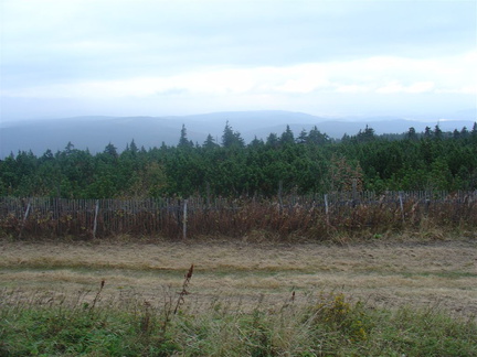 DSC03346