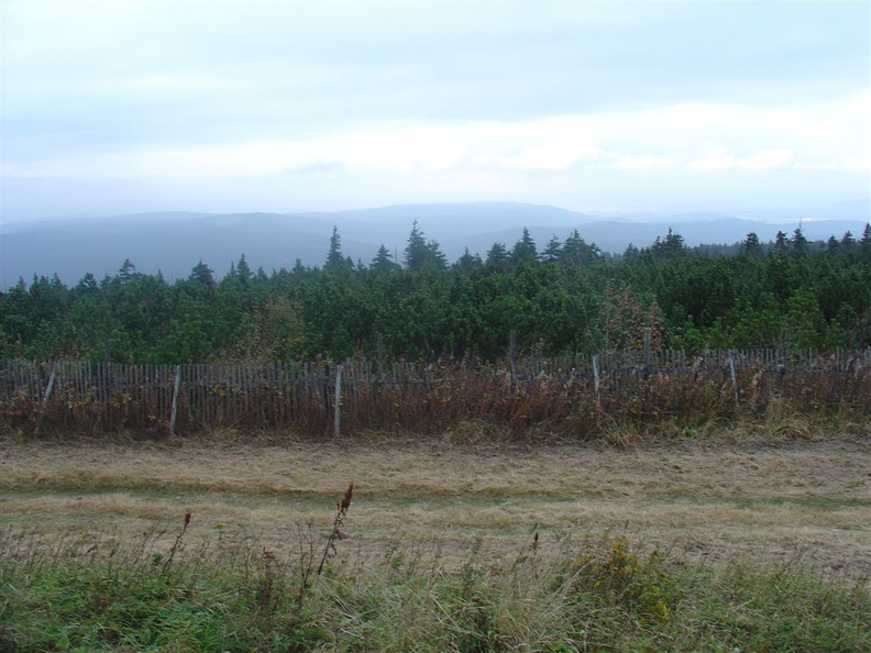 DSC03346