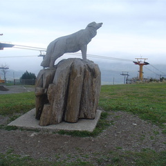 DSC03350