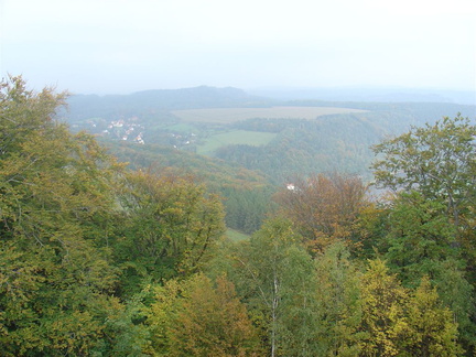DSC03364