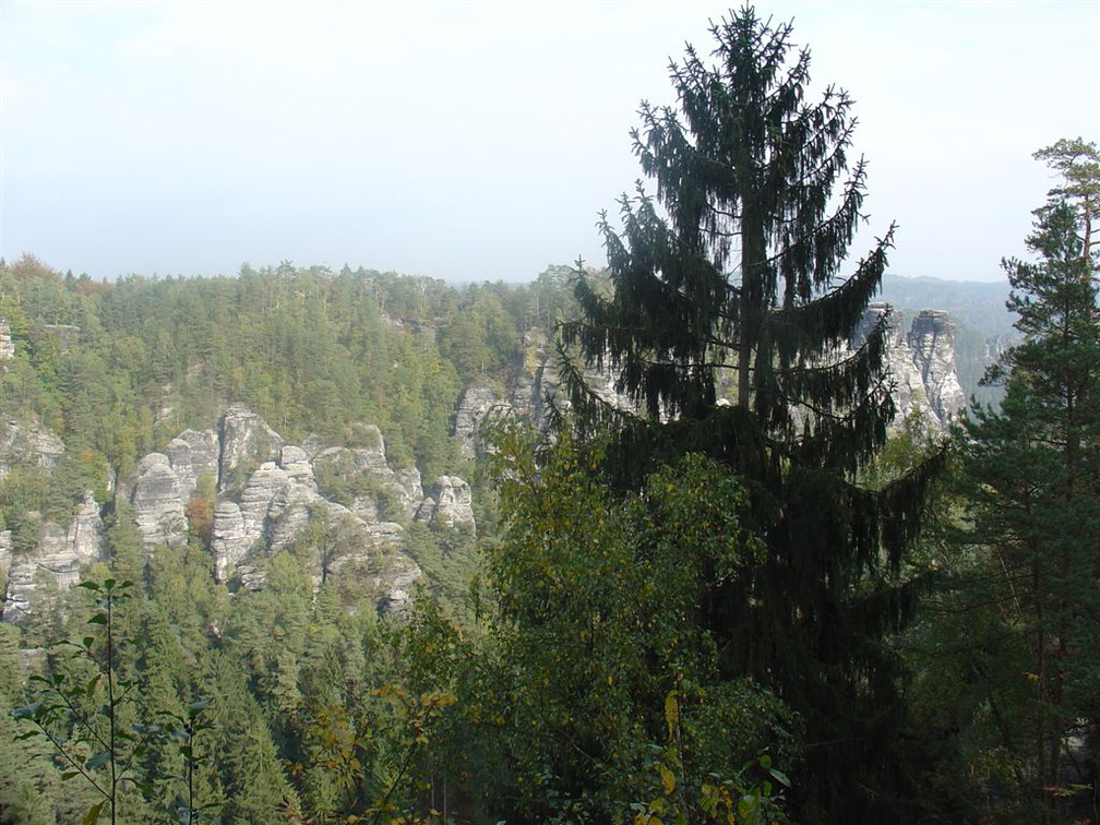 DSC03384