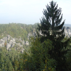 DSC03384