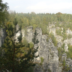 DSC03385