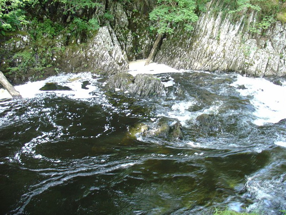 DSC02642