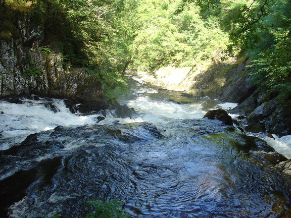 DSC02643