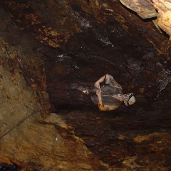 DSC02730