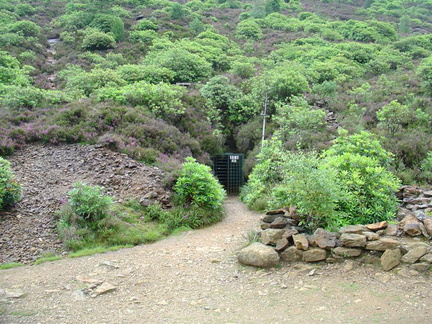 DSC02737