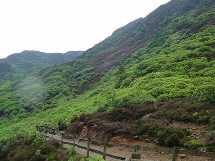 DSC02745