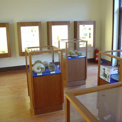 DSC02756