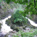 DSC02765