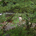 DSC02768