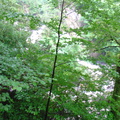 DSC02771