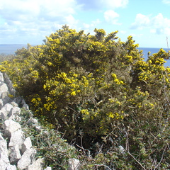 DSC04944