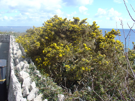 DSC04944